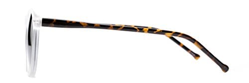 Lincoln, Plastic Round Men's & Women's Full Frame Sunglasses - Clear Frost/Tortoise Frame with Green Lenses