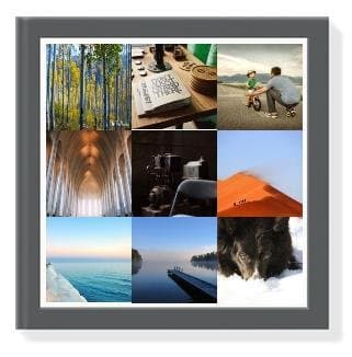 DeMoth Powerful Clothes Moth Traps – Natural Odor-Free Carpet and Clothes Moth Traps – Fast Result Guaranteed Anti-Moth Traps