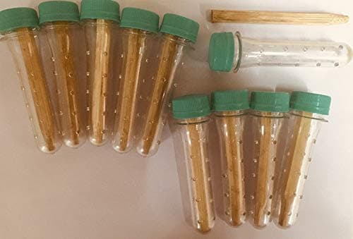 Termite Bait Bamboo Sticks