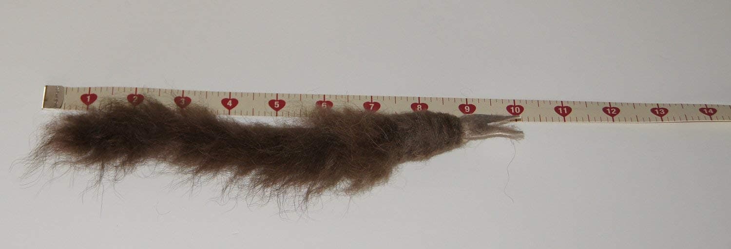 Buffalo Hair Snake Refill/Attachment Cat Toy - Fits Wildcat and Popular Bird and Mouse Type Wands/Poles