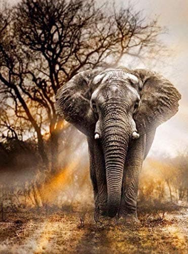 16x20in 5D Diamond Painting, Diamond Art Kits for Adults, DIY Full Drill Crystal Embroidery Rhinestone Pictures Arts Craft