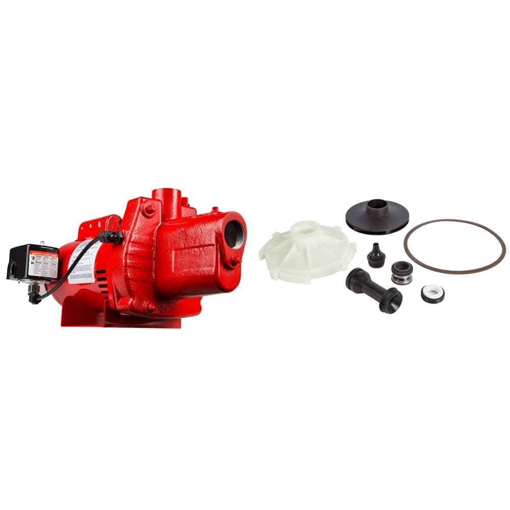 Red Lion 602207 Premium Cast Iron Shallow Well Jet Pump, 9"H & 305584007 Overhaul Kit for RJS-75-PREM 3/4 HP Shallow Well Jet Pump, Natural