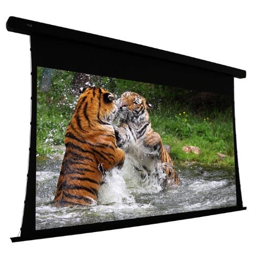 EluneVision EV-T3-92-1.0 Projection Screen Motorized 110 V