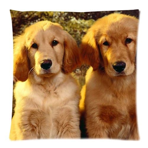 Honest Kind Grumpy Cat Zippered Pillow Cases Cover Cushion Case 18x18 Inch