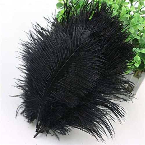 WAKEACE Ostrich Feathers 20 Pieces 7-10 Inch 18-24CM DIY Wedding Dress Feather Dance Craft