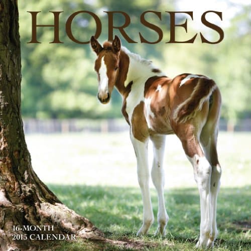 Horses Mini Wall Calendar 2015 Calendar – Mini Calendar, September 1, 2014