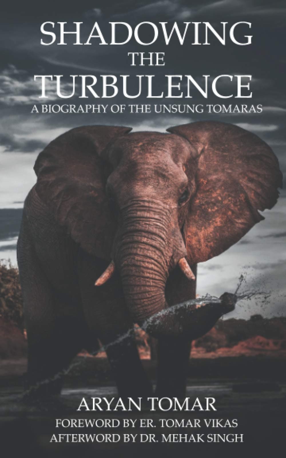 Shadowing the Turbulence: A Biography of the Unsung Tomaras Paperback – 8 December 2020