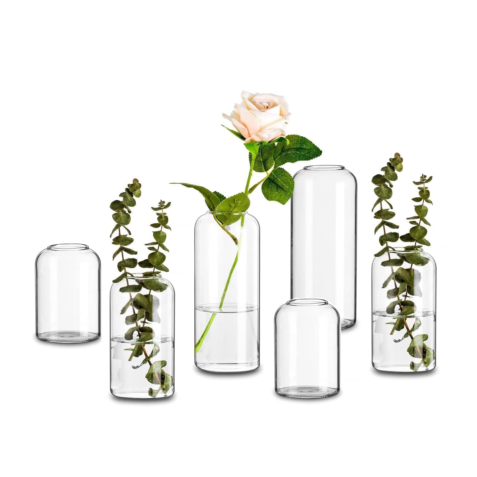 Glasseam Clear Glass Bud Vase, Set of 6 Modern Cylinder for Centerpieces, Blown Craft Aesthetic Decorative Small Flower Vases Bulk for Flowers Rose Tulip Pampas Grass