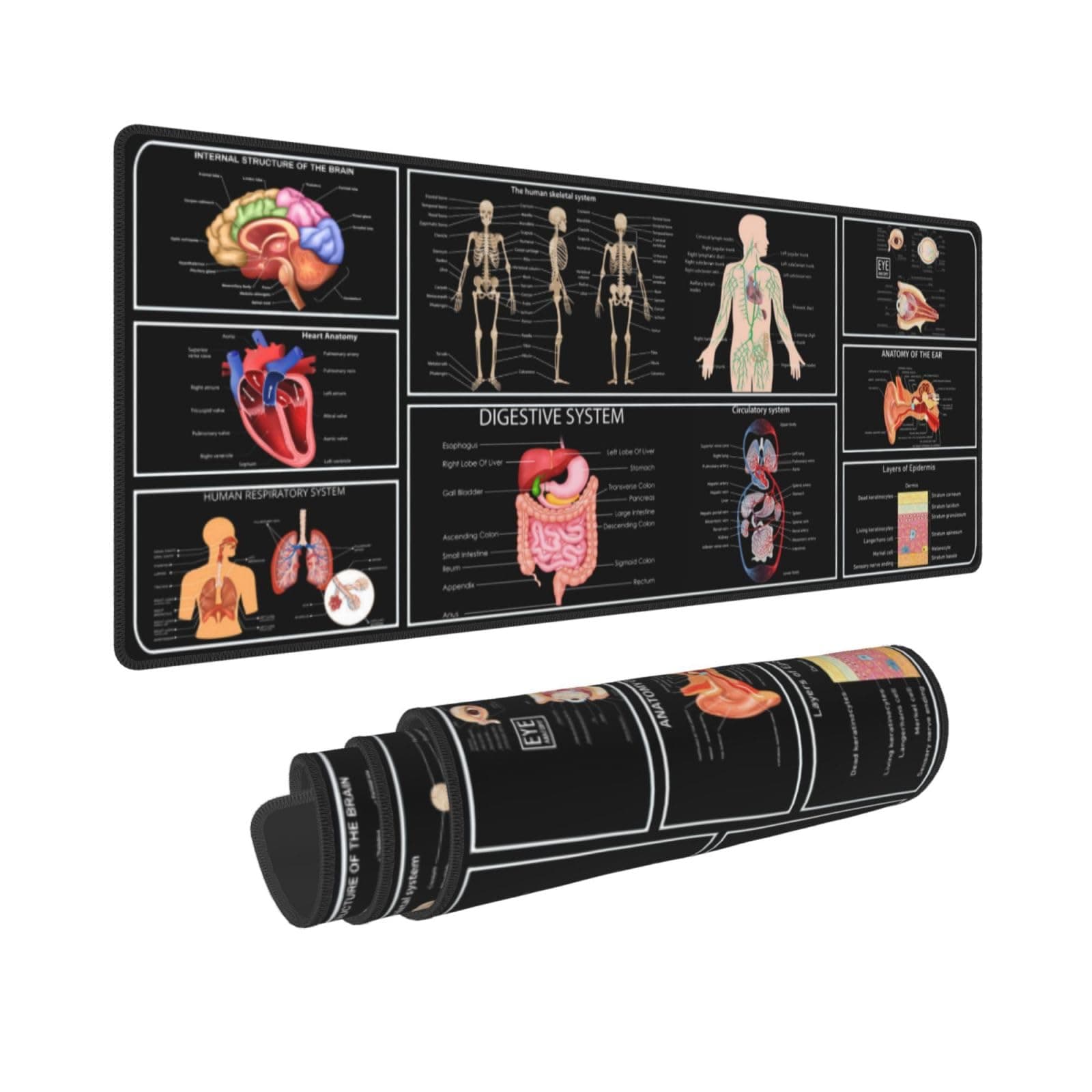 Medical Anatomy Human Physiology Medicine Doctor Assistant Anatomy Model Physiology Gaming Keyboard Mouse Pad Mousepad Desk Mat Huge Extended Xl Stitched Edge Rubber Sole For Home Office(31.5"X 11.8")