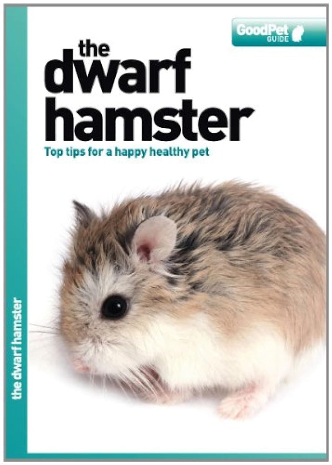 The Dwarf Hamster - Good Pet Guide