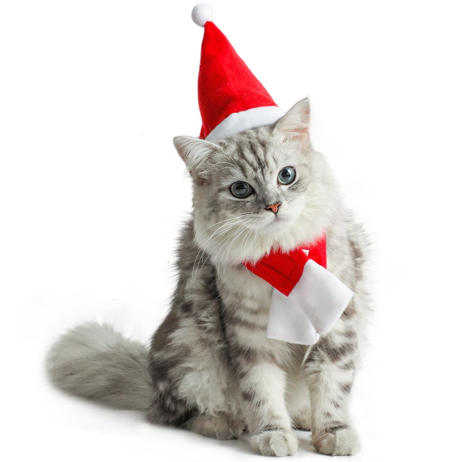 DIYASY Christmas Cat Santa Hat and Scarf,xmas Cat Hats with Scarf -Christmas Costume Set Puppy Kitten Cosplay Adjustable Costume Accessories for Small Pet Cat Dog