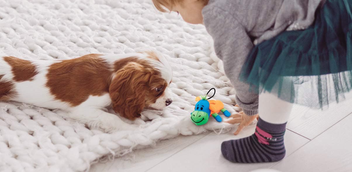 ZEUSMojo Brights Noodle Doodles, Dog Toys for Small Dogs and Puppies, Receive EITHER a Rhino or Giraffe, Assortment Pack