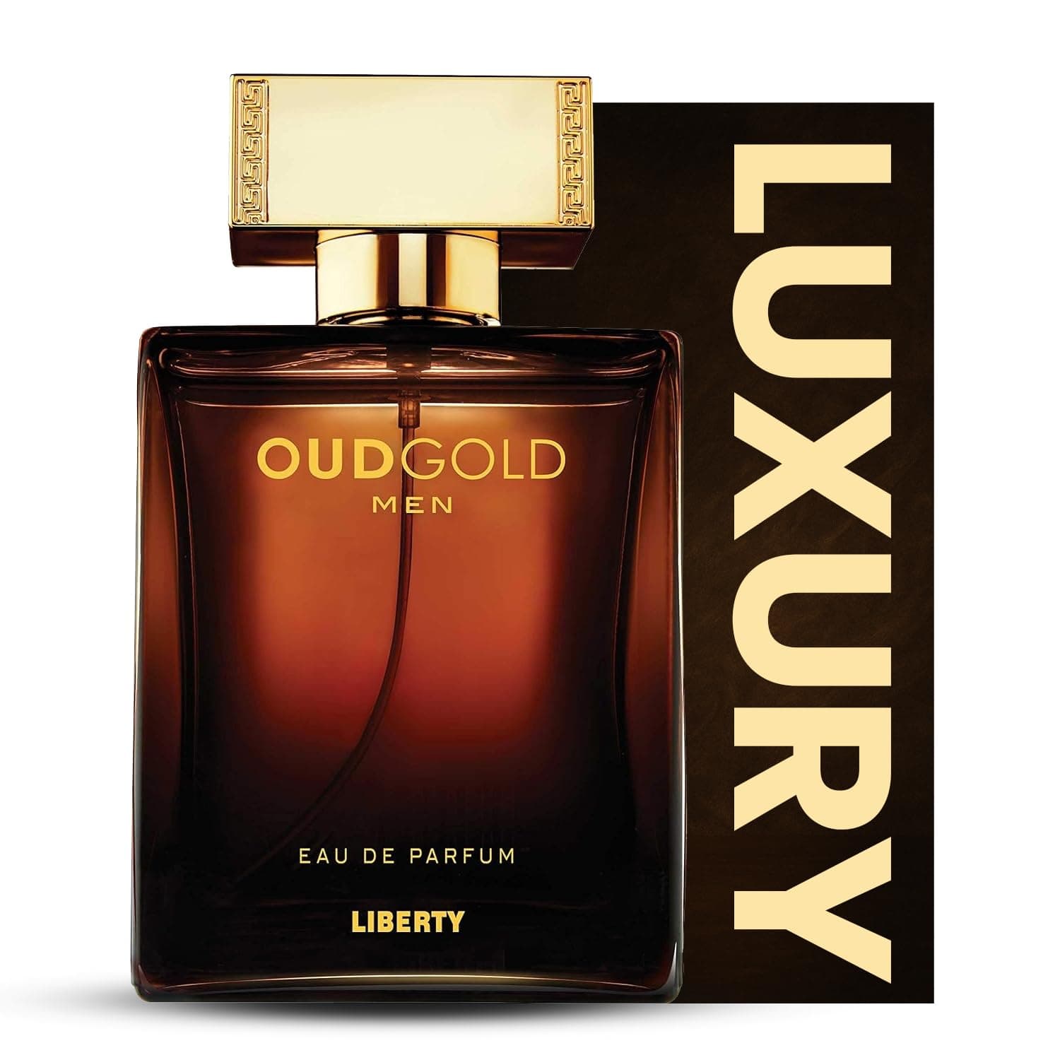Oud Arabic Perfume for Men, Long-Lasting Luxury with Bold Oud, Fresh Citrus, and Premium Woody Scent, long lasting perfume for men,perfumes arabes para hombres,Gift For Men,100ml EDP