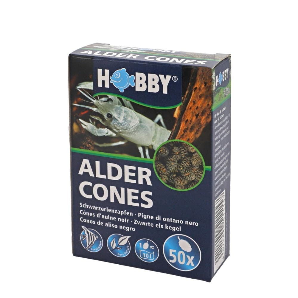 Hobby Alder Cones Pack Of 50