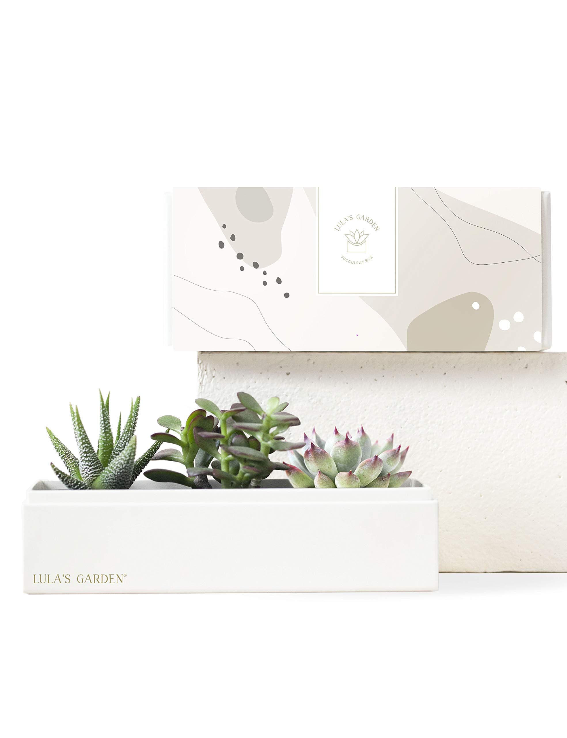 Jewel Garden (Lula's Garden)