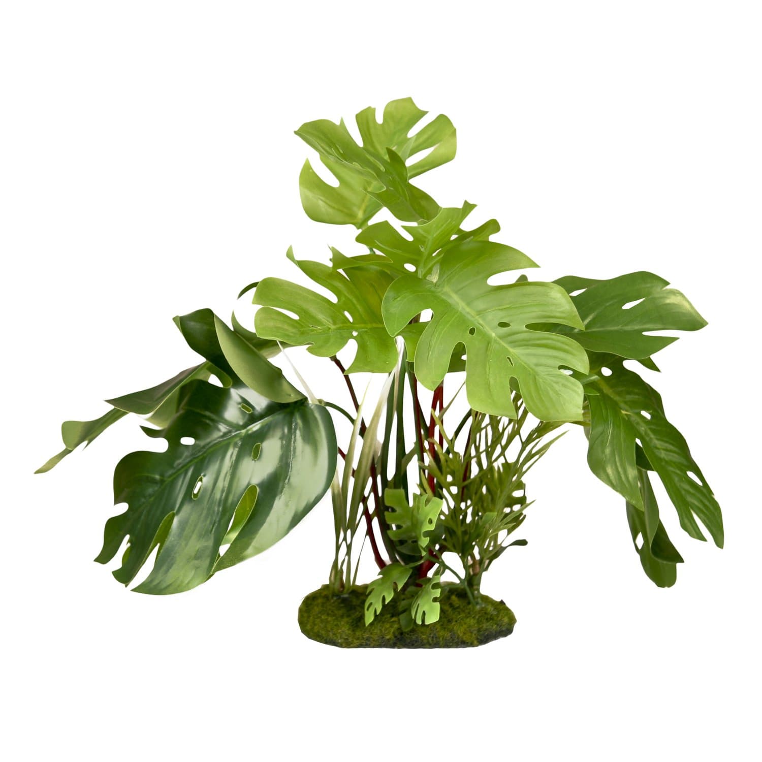 BLUE RIBBON PET PRODUCTS 030157017699 Colorburst Florals Split Leaf Philodendron, Green