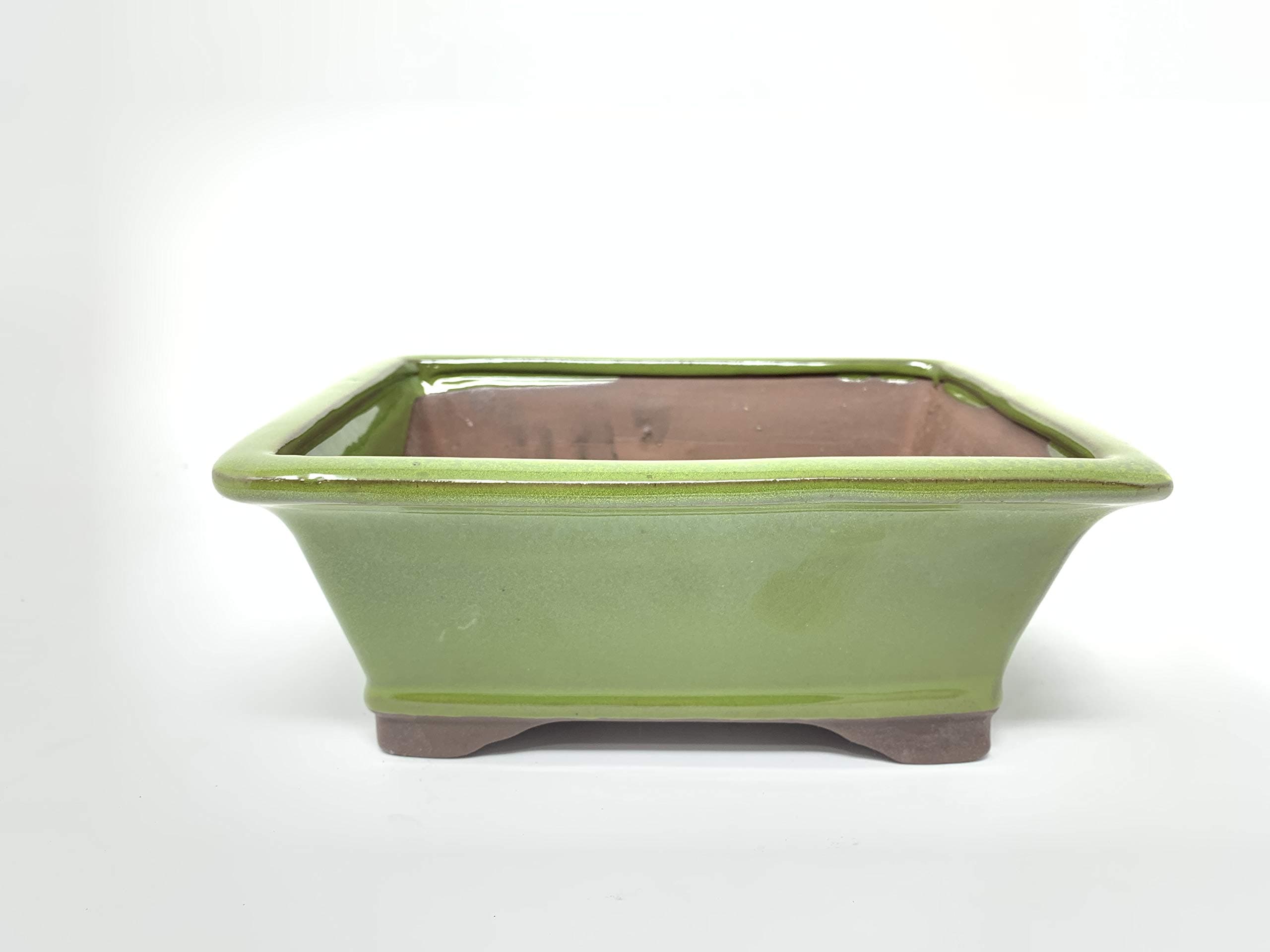 Ceramic Bonsai Tree Pot Glazed 8" (Chartreuse) Very Durable Clay, Fired at high Temperature, It Will retain Color Through rain, Snow and Sun. Perfect for Bonsai in Training or Any Other Plant