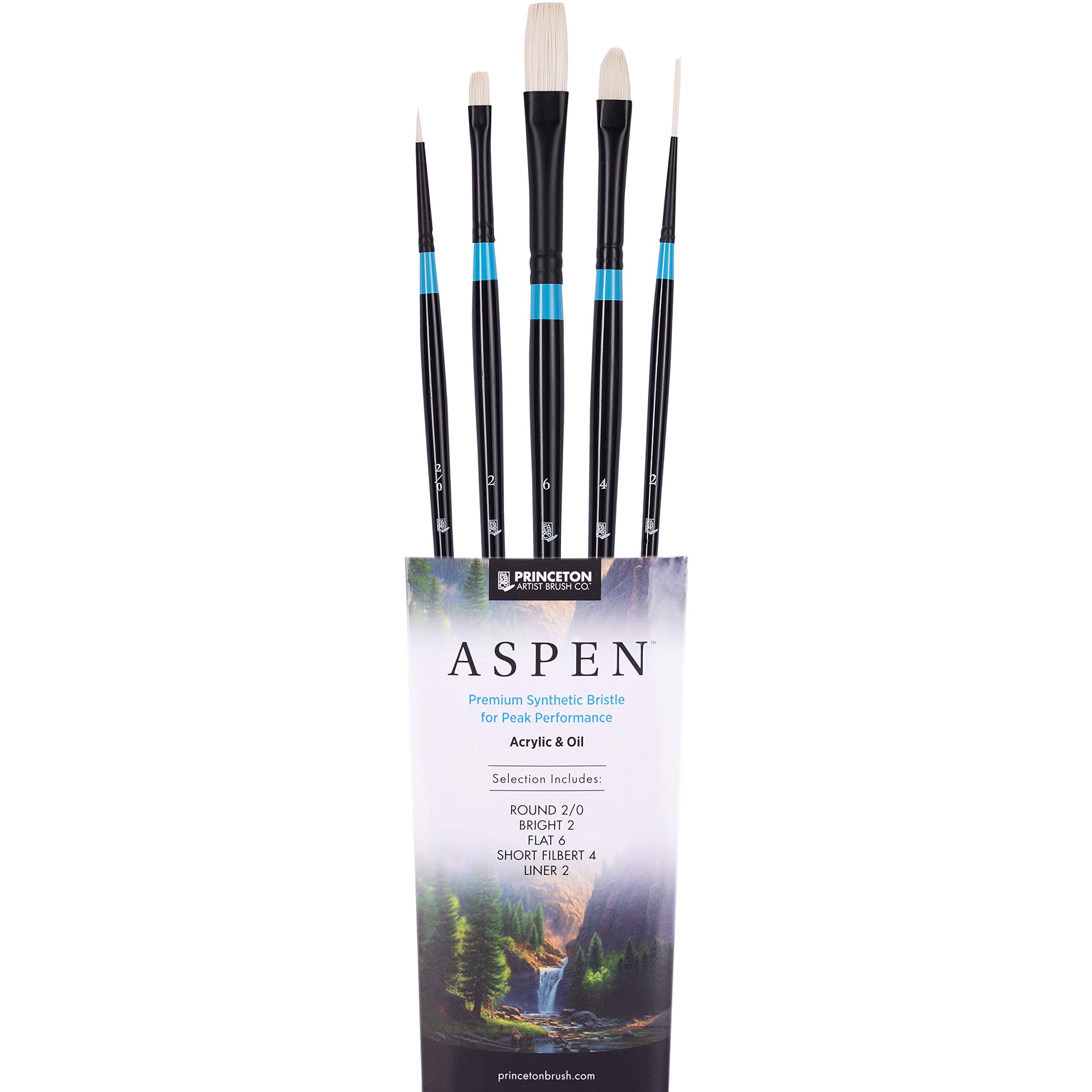 Princeton Aspen 6500 Series 5pc Professional Paint Brushes for Acrylic Painting - Synthetic Oil, Gouache, and Acrylic Paint Brushes Set - Filbert Striper Flat & Round Set of Art Brush