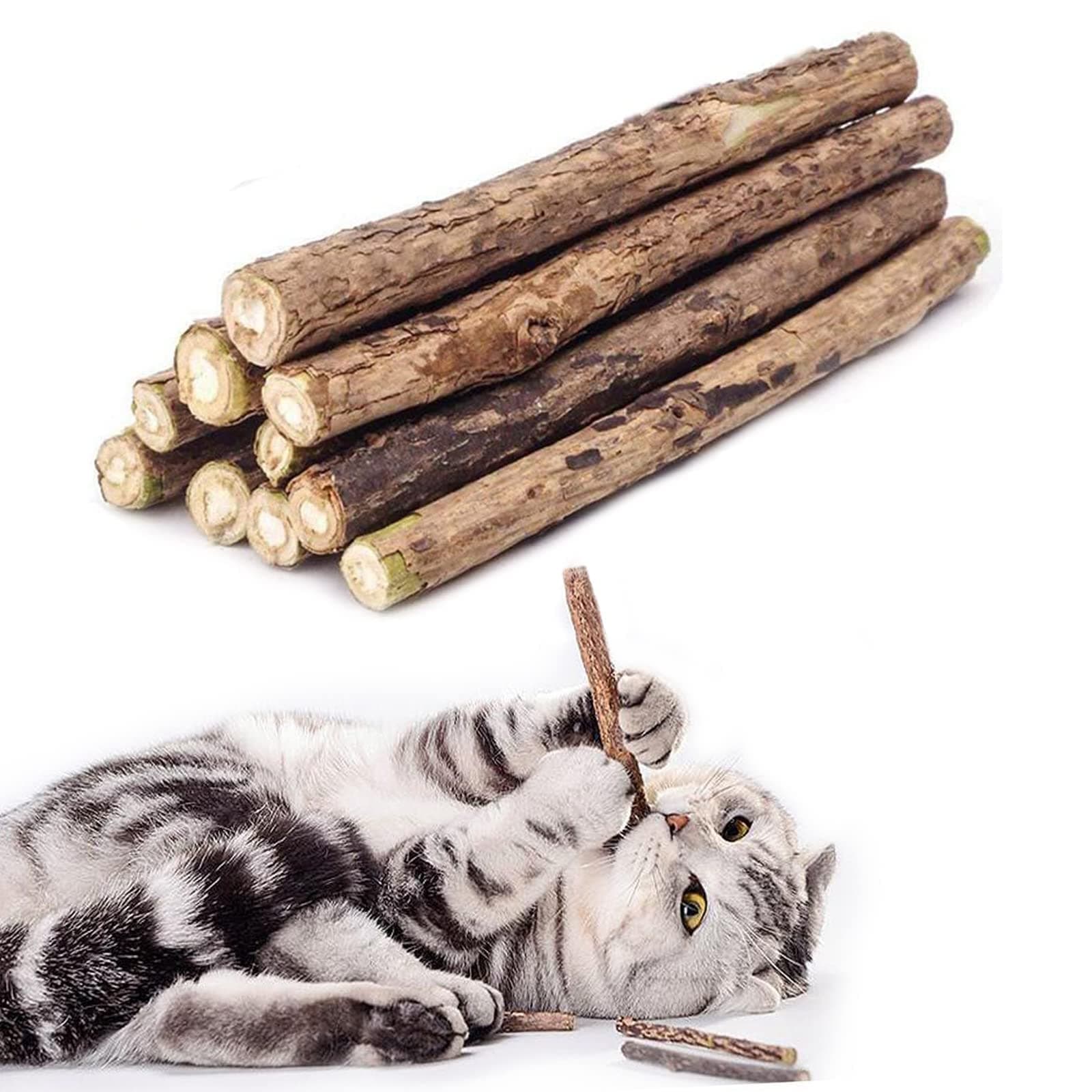 10 PCS Cat Catnip Sticks, Natural Matatabi Silvervine Sticks - Cleaning Teeth Molar Tools Kitten Chew Toy Natural Catnip Cats Toy