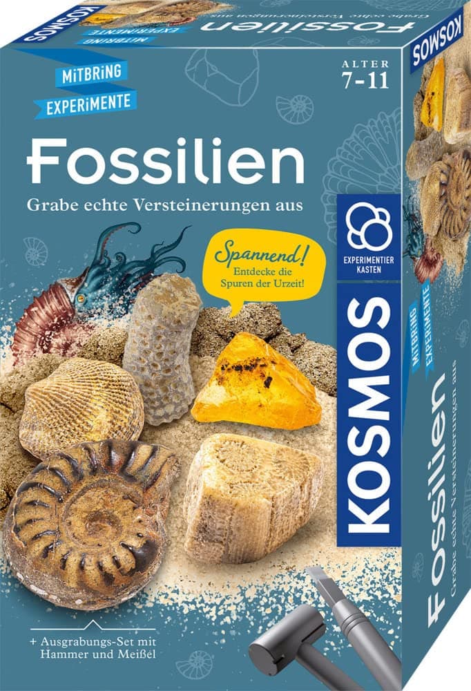 Kosmos 657918 Fossils Excavation Kit, Digging Real Petrifications and Amber Yourself, with Hammer and Chisel, Experiment Set for Children from 7 Years