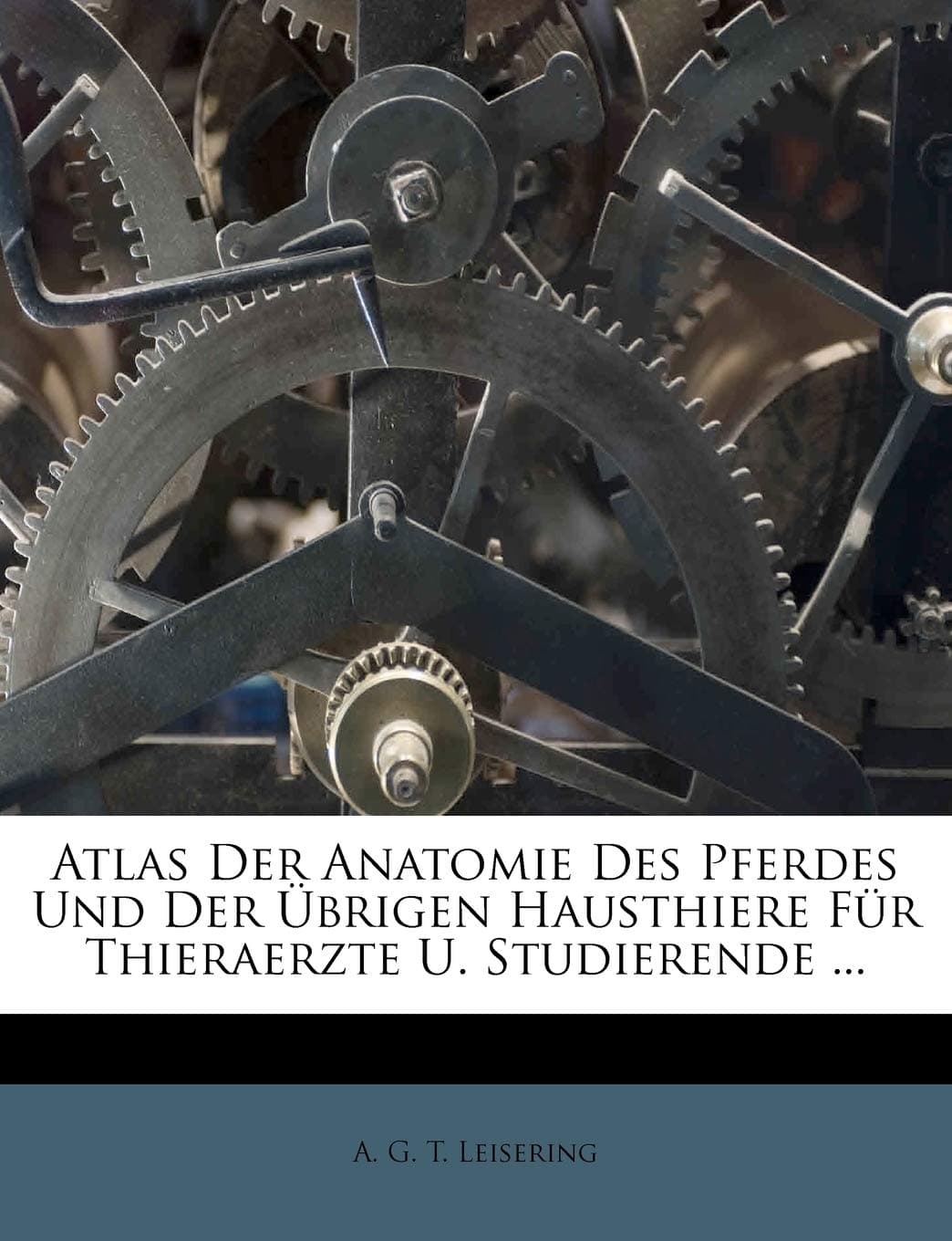Atlas Der Anatomie Des Pferdes Und Der Ubrigen Hau