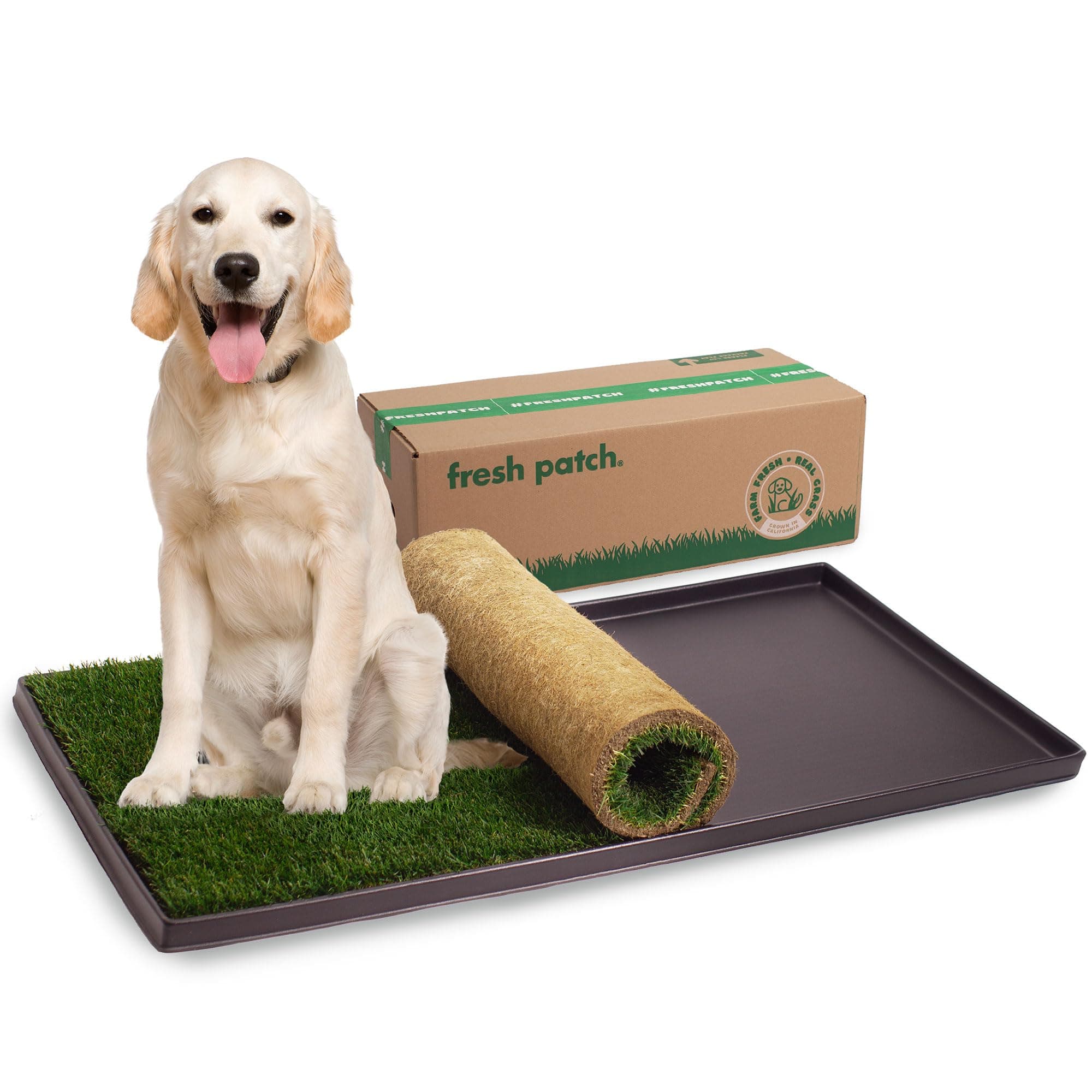 Fresh Patch XL Bundle - Real Grass Potty Training Pad and Plastic Tray for Multiple Dog Households - Indoor and Outdoor Use - 48" x 24"