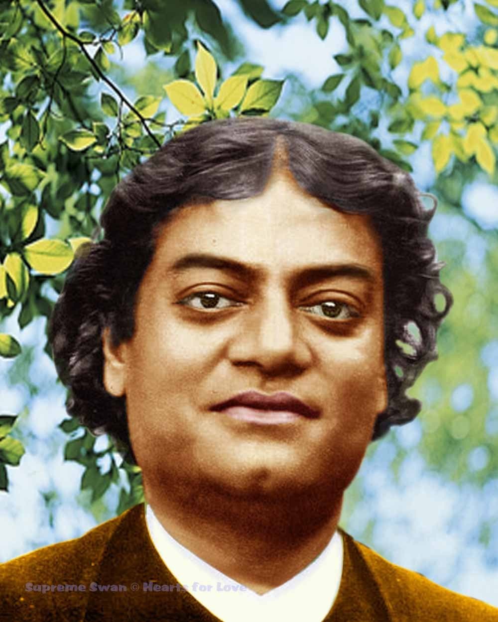 Supreme Swan Swami Vivekananda Art Print - Available in Several Sizes