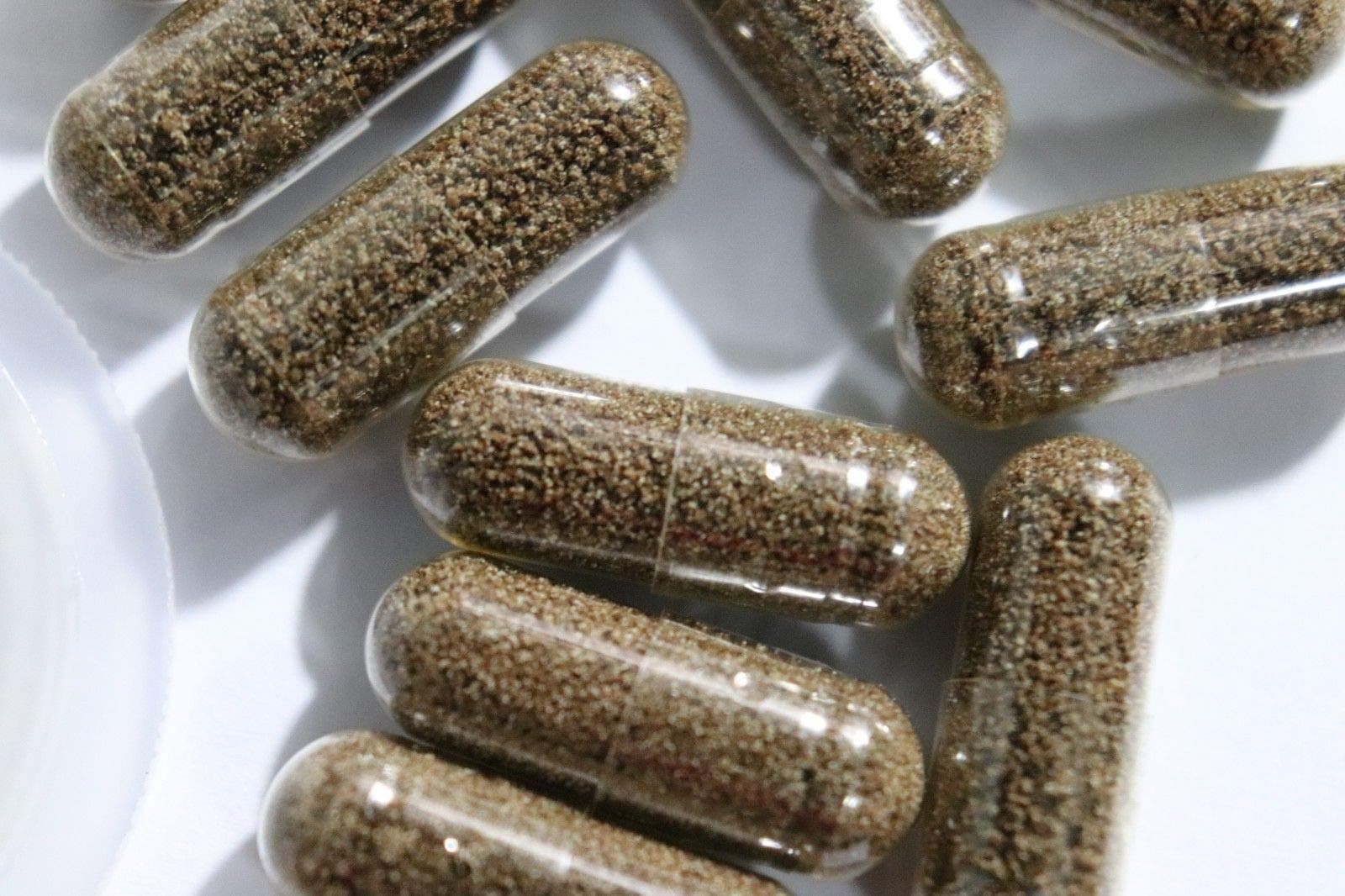 2 CAPSURES ROTIFERS Eggs Alive Food Fresh 90% Hatch for Killifish/Fish Food