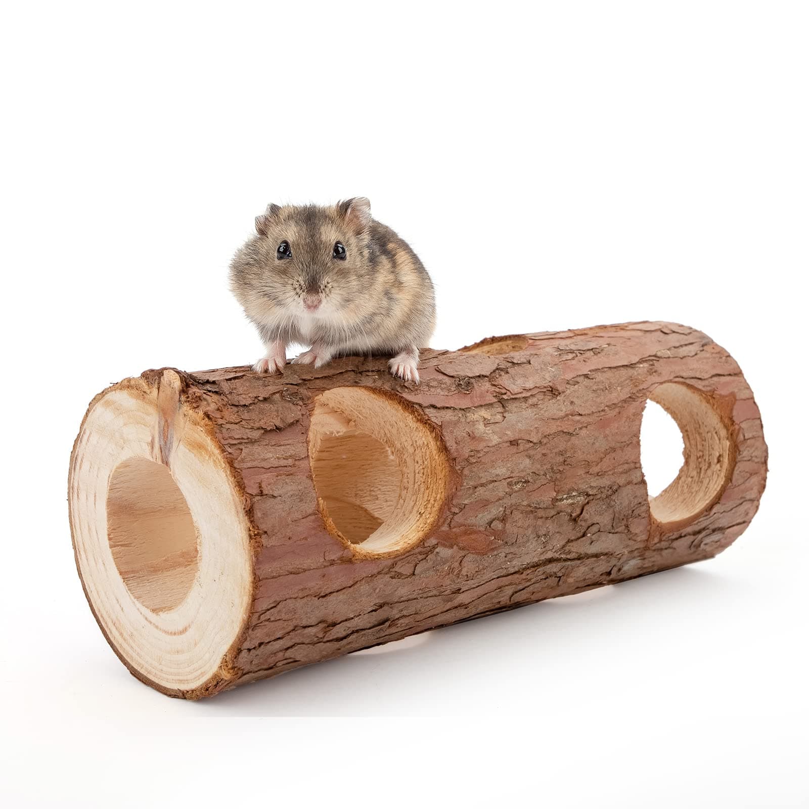 Natural Wooden Hamster Mouse Tunnel Tube Toy Forest Hollow Tree Trunk