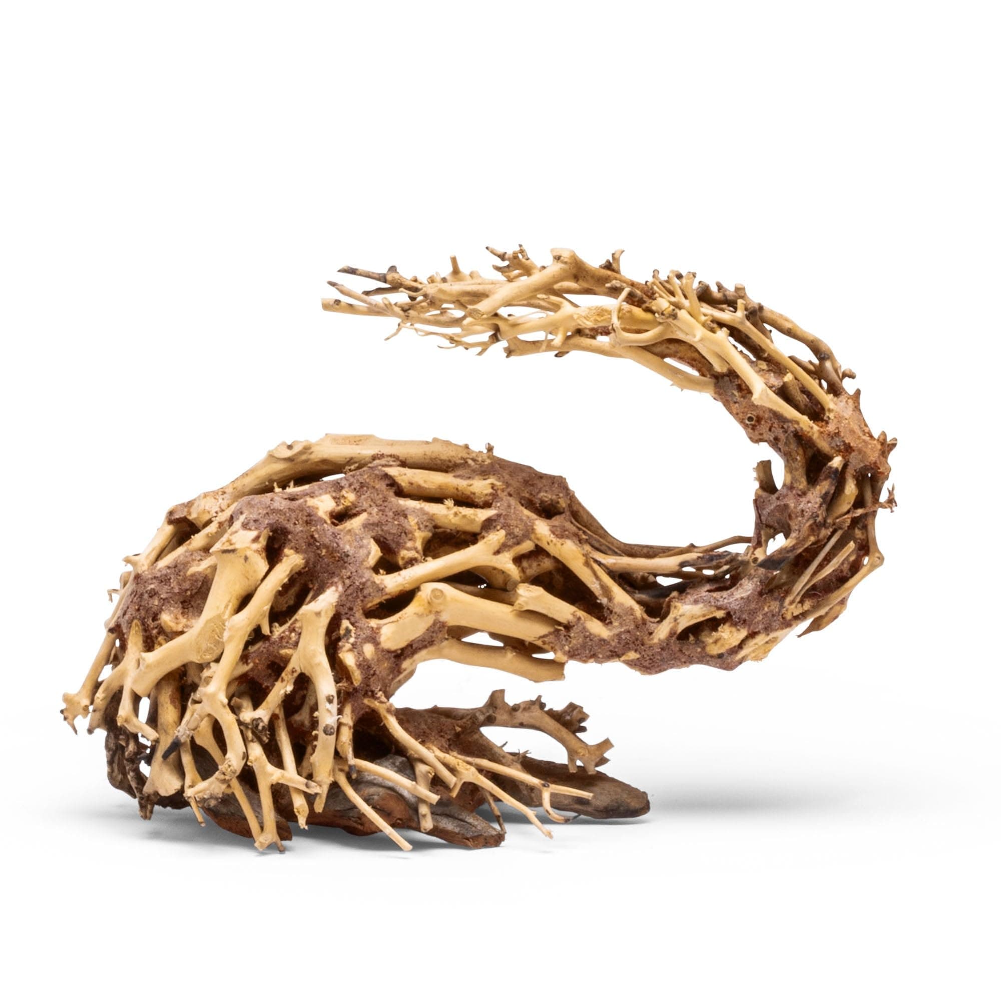 Ultum Nature Systems Bonsai - Handcrafted Hardscape Driftwood for Aquarium, Terrarium, Vivarium, Natural Aquascape Hardscape Decorations, Aquascaping Hardscape for Live Aquatic Plants - 001, Small