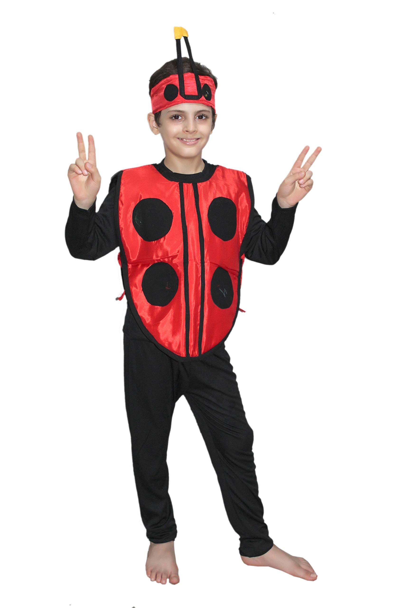 Kaku Fancy Dresses Insect Costume for Kids, Ant, Grasshopper, Lady Bird, Honey Bee Costume for Boys & Girls