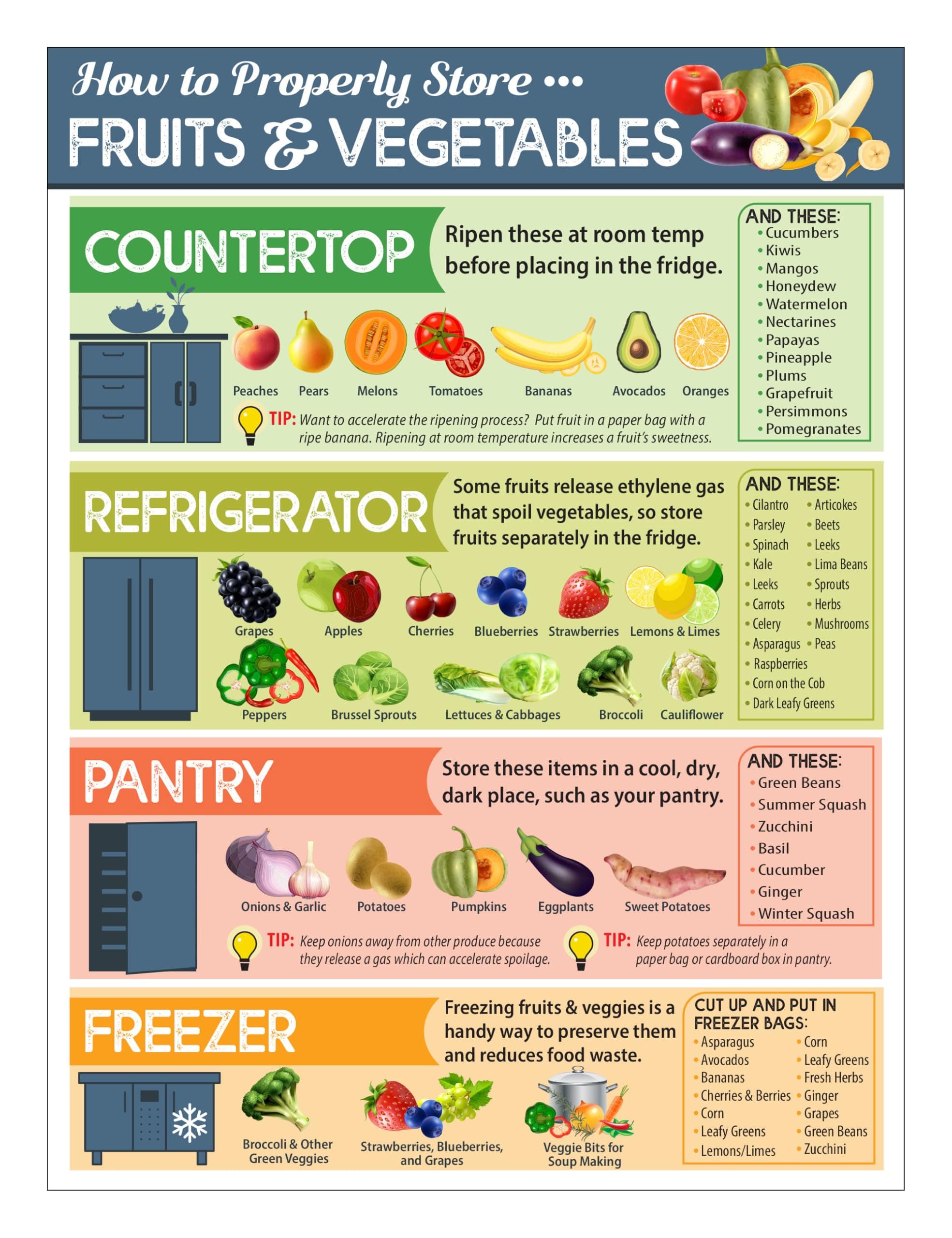 Lone Star Art How To Properly Store Vegetables and Fruit Magnets - Kitchen Cheat Sheet Magnet - Fruit and Vegetable Magnets for Fridge - 6"x8" Helpful Magnetic Cheat Sheet - Chart for Storing Produce