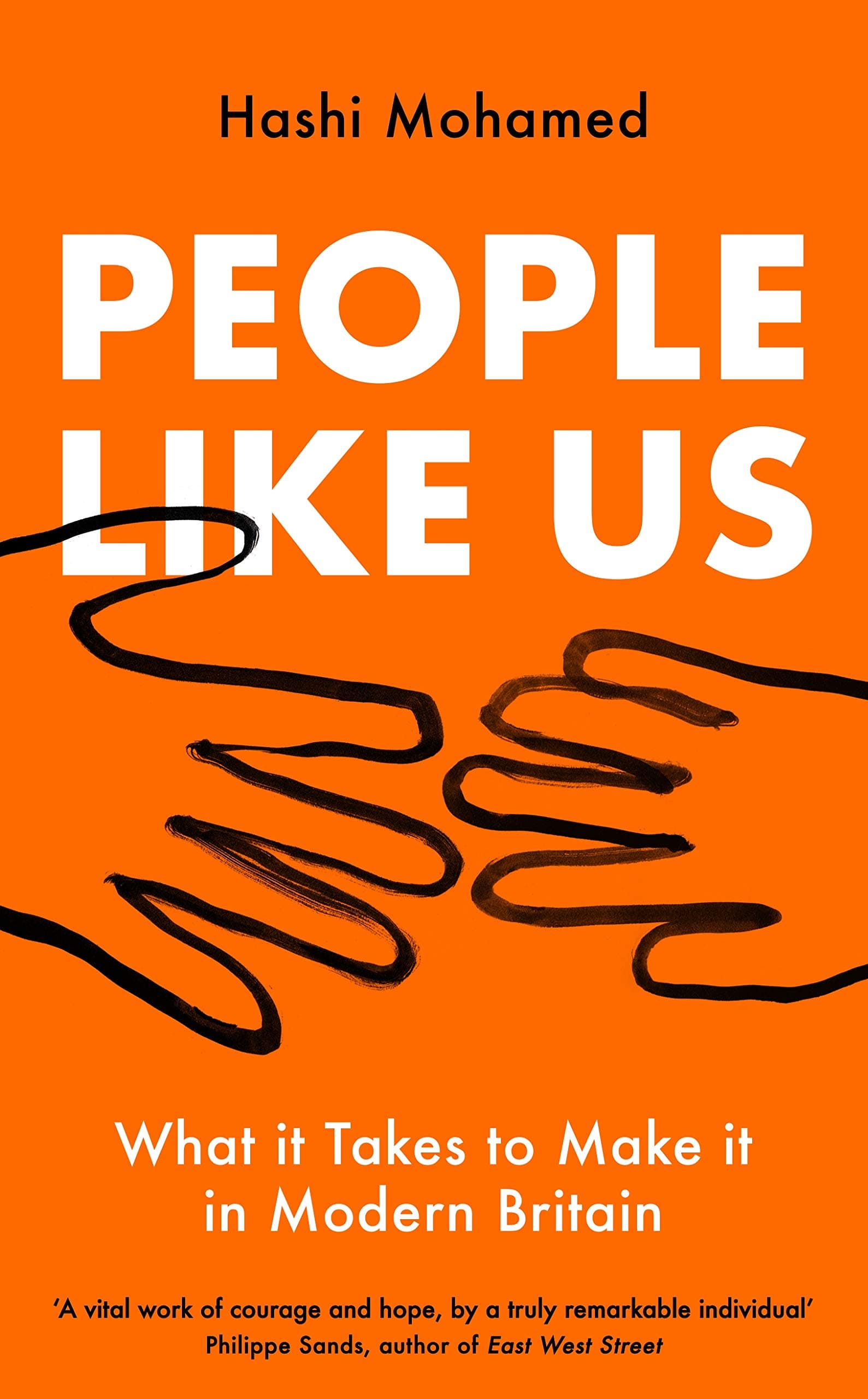 Profile Books People Like Us: What it Takes to Make it in Modern Britain Hardcover – Big Book, 16 January 2020