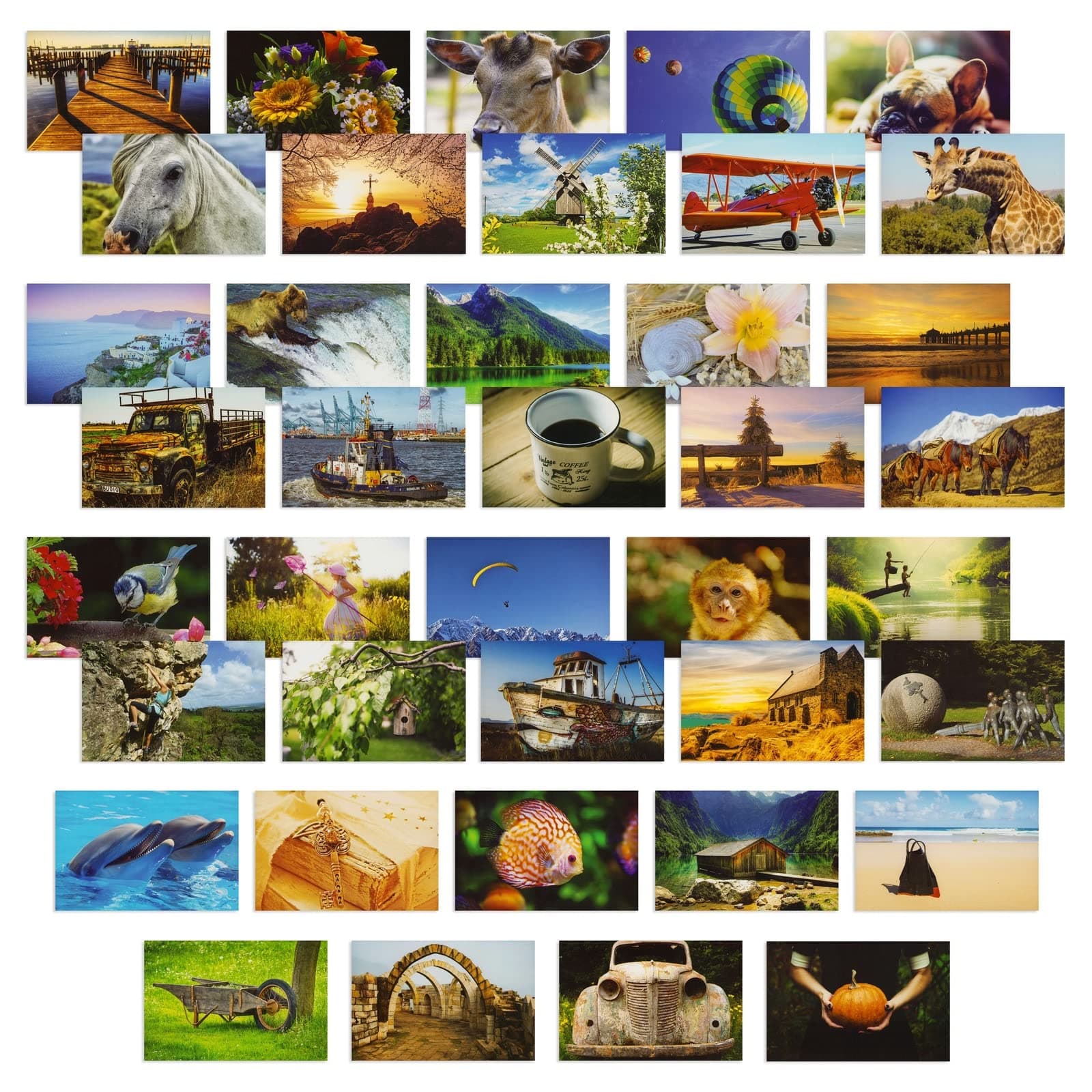 40 Pack Bulk Animal and Travel Postcards From Around the World for Mailing, Assorted Nature Thank You Notes (10 x 15 cm)