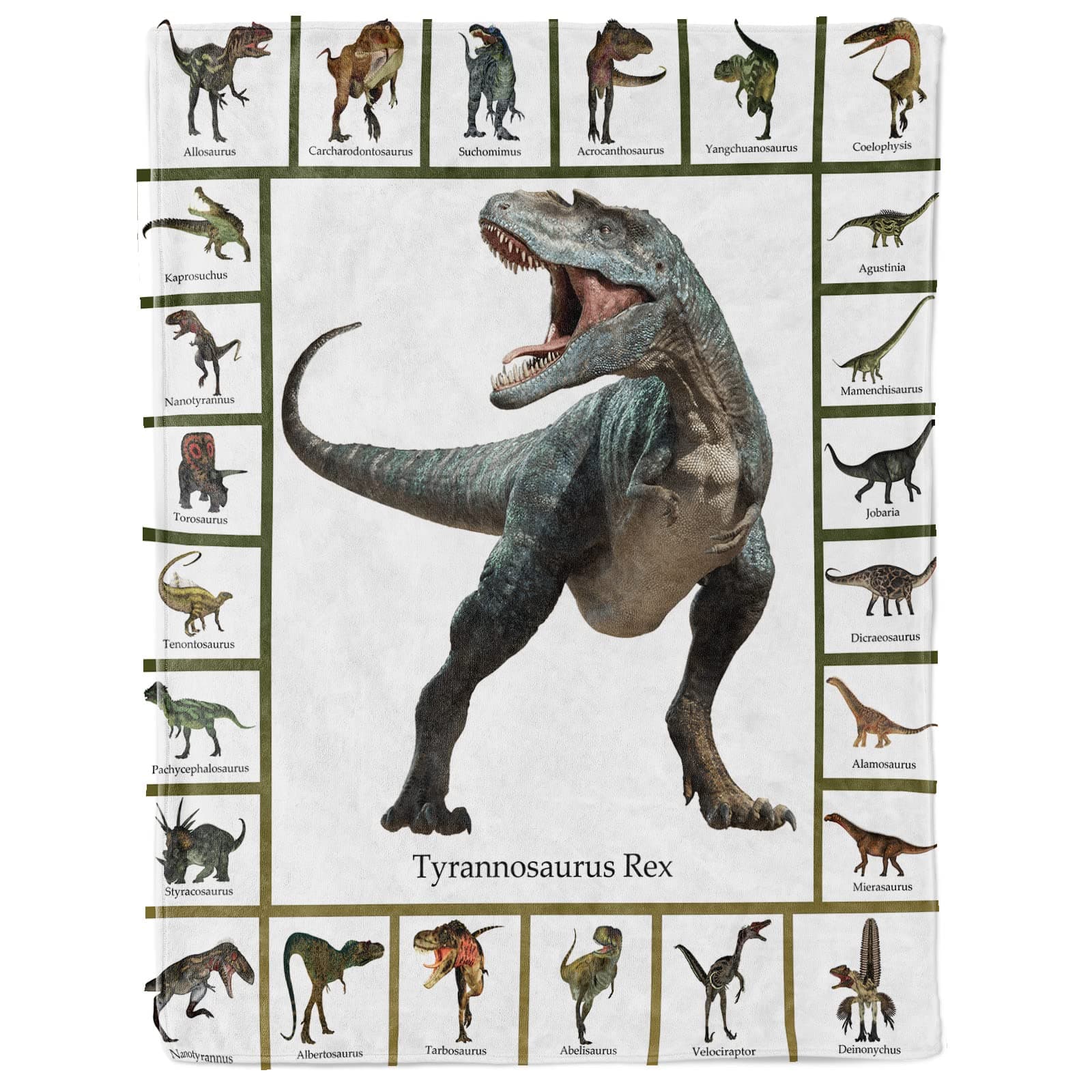 Dinosaur Throw Blanket for Boys Teens, Jurassic Dino Sofa Bed Blanket, Soft Cozy Flannel Dinosaur Alphabet Pattern Blanket Funny Dinosaur Gifts for Jurrassic Dinosaur Fans 50x60 Inch