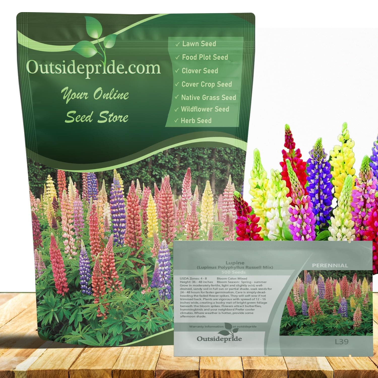 Outsidepride Mixed Russells Lupine Seeds - 500 Pcs Perennial, Self-Sowing, Cold Hardy & Frost Tolerant Wildflower Seeds for Fall Planting, Ideal for Attracting Pollinators & Hummingbirds