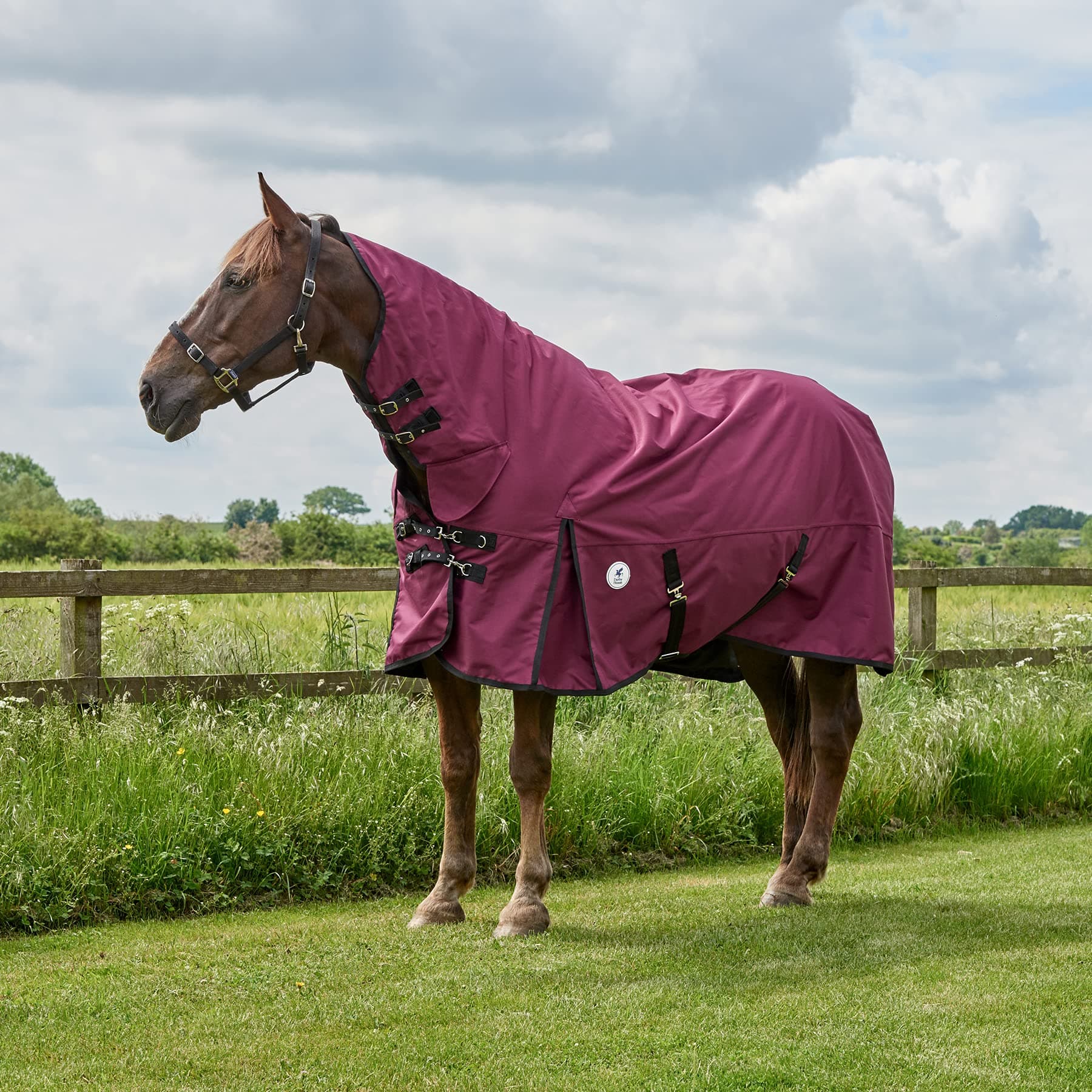 Derby House 50g Combo Turnout Rug