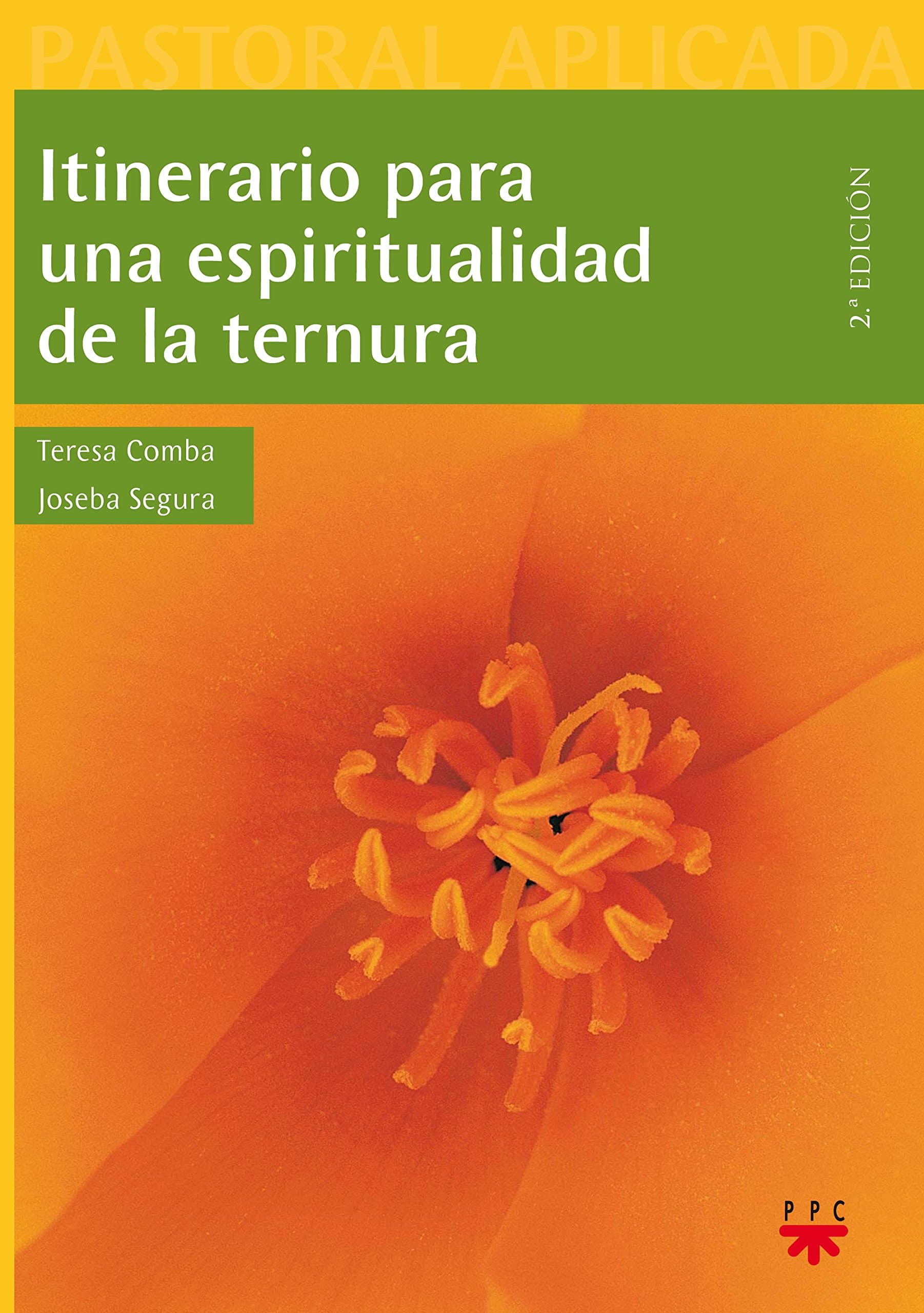 Itinerario para una espiritualidad de la ternura