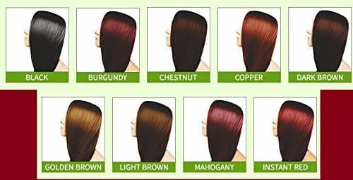 Noorani Henna Based Hair Color and Herbal Powder in USA | Ships from California (1 (6 Pouch x 10g), BROWN HENNA)