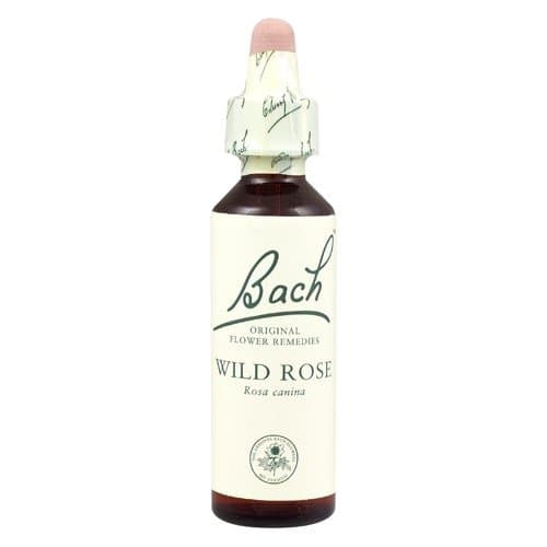 Dr Bach Wild Rose Bach Flower Remedy 10ml X 4 (Pack of 4)