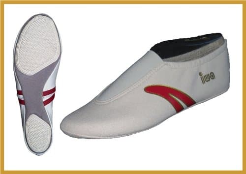 Artistic Gymnastic Shoes IWA 402 Men