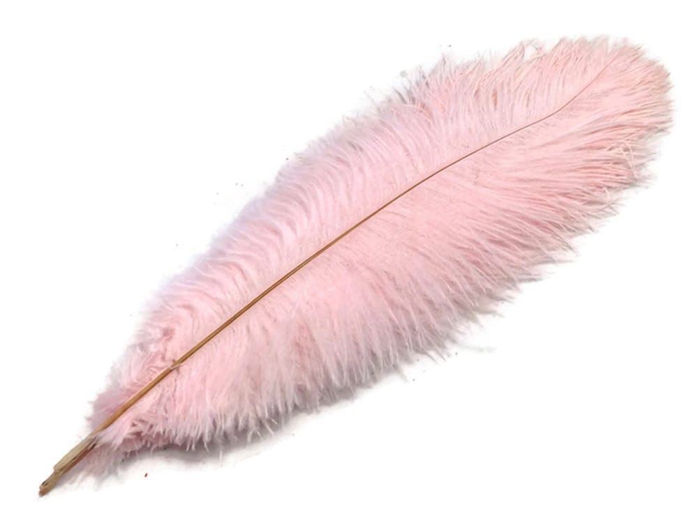 Moonlight Feather 10 Pieces - 19-24" Light Pink Ostrich Dyed Drabs Body Feathers Party Centerpiece Costume Supplier