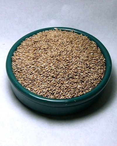 Canary Seed / Alpiste 5lb
