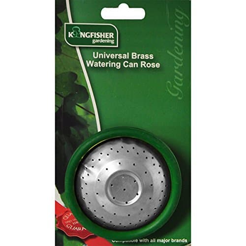 Kingfisher B609CP Steel Watering Can Rose, 3.35 x 3.35 x 2.36, Transparent
