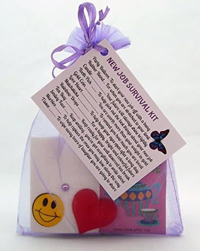 Job Survival Kit Gift for New Career, Promotion Leaving Present by clever little gifts (Purple)