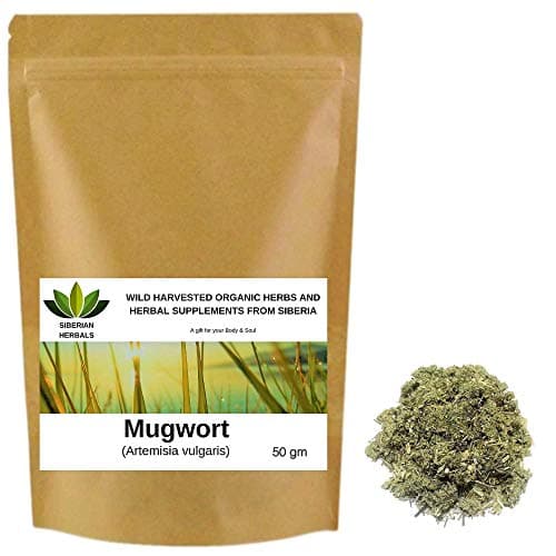 Wild Harvested Organic Mugwort (Artemisia vulgaris) ПОЛЫНЬ ОБЫКНОВЕННАЯ from Altai Mountains, Siberia, Russia. (50 gm)