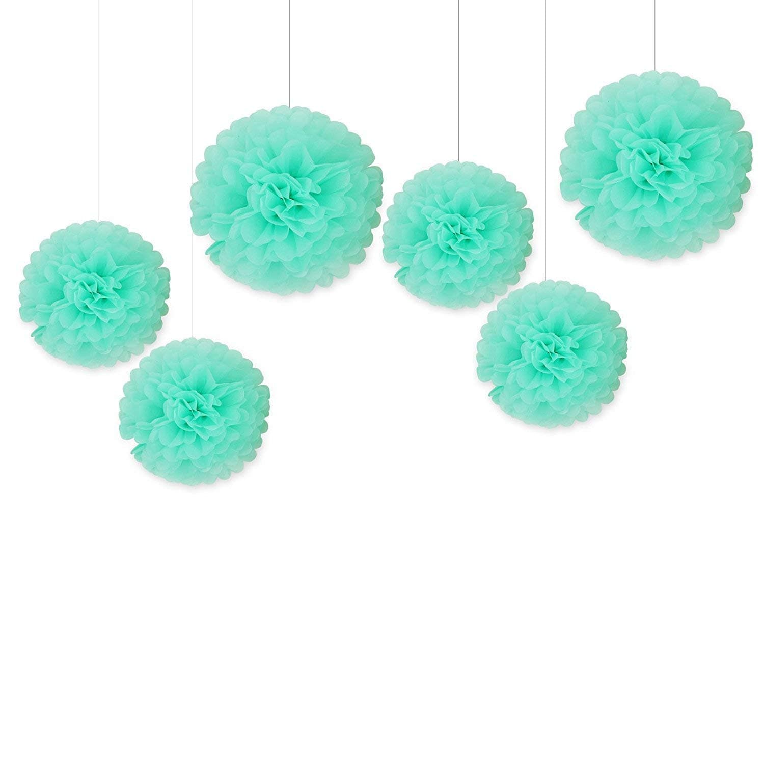 Hanzen 5 Pcs Mixed 10" 14" Mint Tissue Paper Pom Poms Flower Balls for Birthday Wedding Party Baby Shower Outdoor Decorations (Mint)