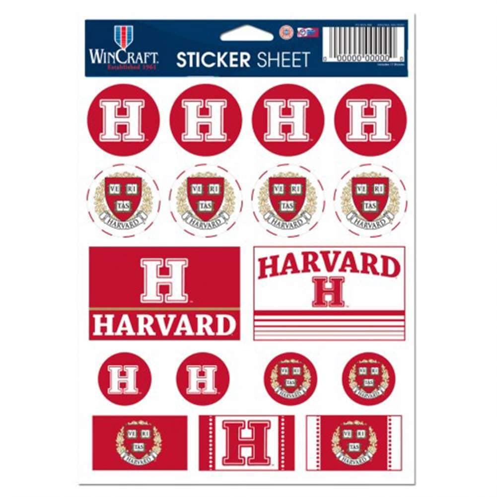 NCAA Vinyl Sticker Sheet