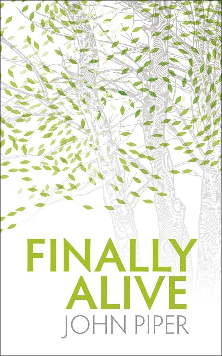 Finally Alive Paperback – March 20, 2009