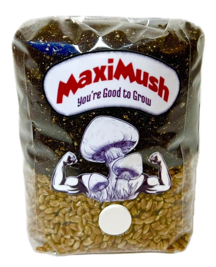 Mushroom Grow Kit! Magic Grow Bag for Mushrooms! (Original 2Lbs.) Grain, Substrate, and Injection Port All-in-One! The Good to Grow Kit!
